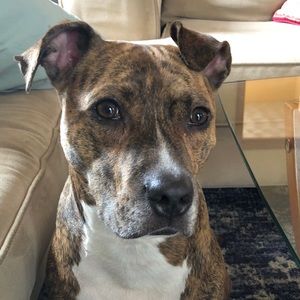 Meet your Posher, Elena